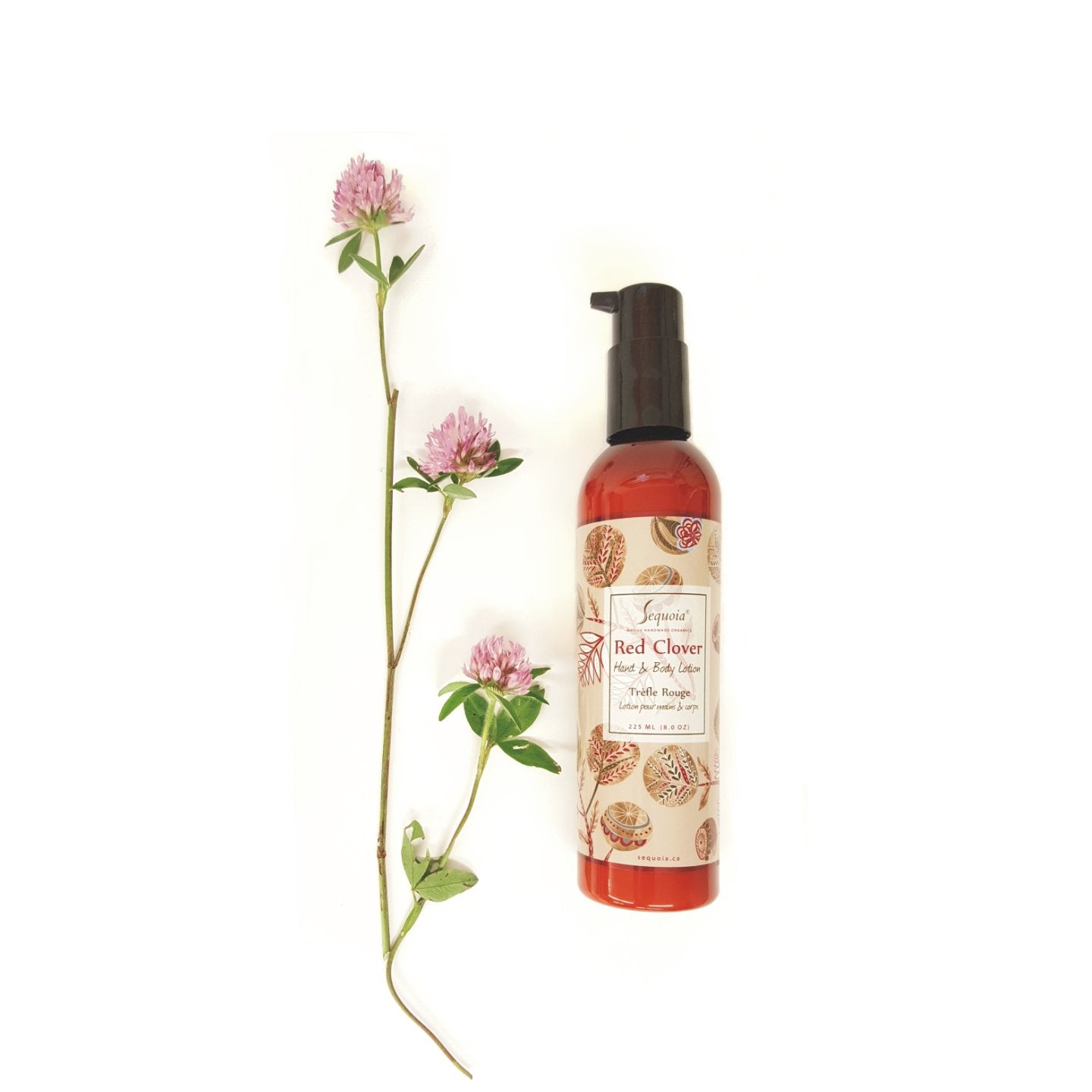 Sequoia - Lotion pour le corps