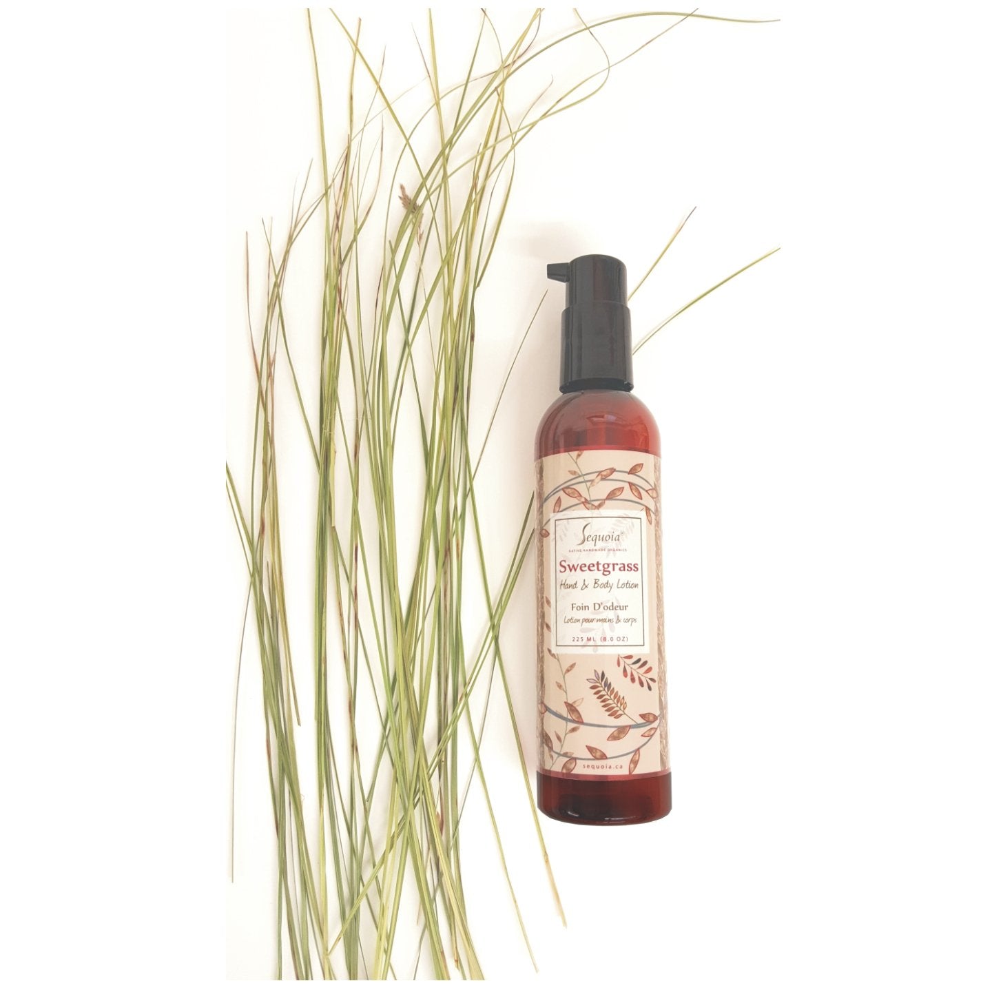 Sequoia - Lotion pour le corps