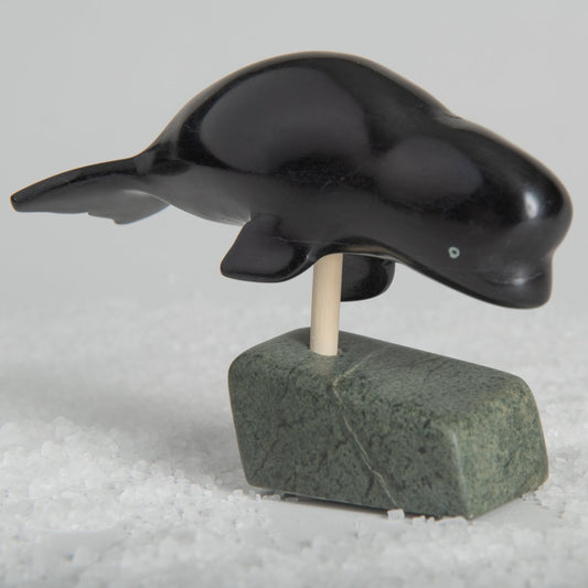 Abelie Napartuk - Black beluga on base